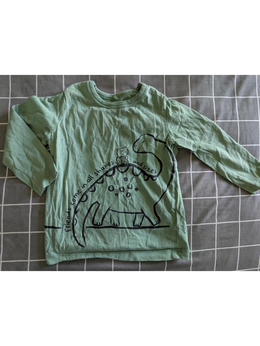 Dino friends top